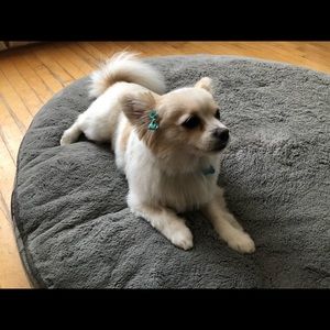 Meet your Posher, Isha